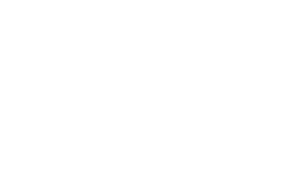 Digital Steps Logo Orizzonatale White- Gallì Danilo Web Marketing Freelance